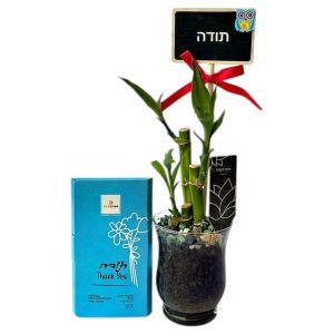 מארז תודה שנשאר